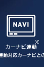 �J�[�i�r�A��