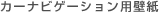 �J�[�i�r�Q�[�V�����p�ǎ�