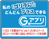 ����Gorilla�ɂǂ�ǂ�v���X�ł���@G�A�v��