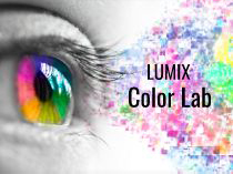 画像：LUMIX Color Lab