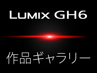 LUMIX GH6 作品ギャラリー