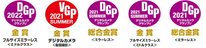 VGP/DGP受賞ロゴ