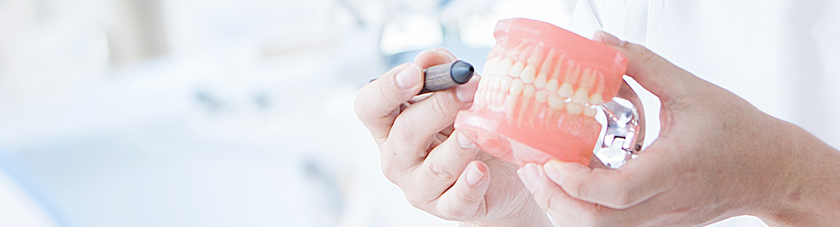 歯のプロに学ぶ オーラルケアの基礎知識
