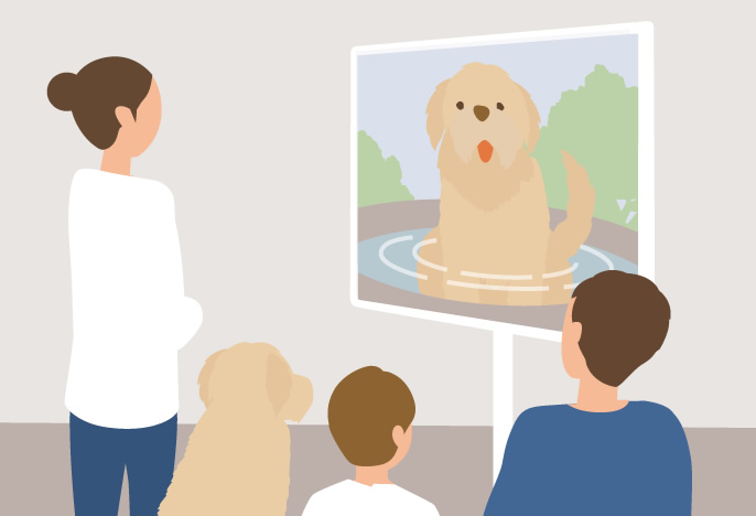 イラスト：テレビに愛犬の写真を写しいるイメージ