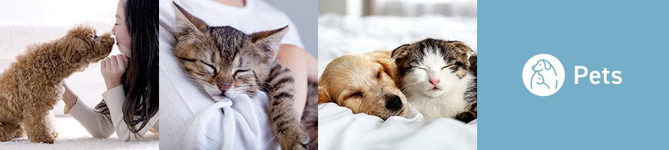 Petsの項目のイメージ画像です（犬を抱き上げる飼い主、膝の上の猫、寄り添って眠る子猫と子犬の画像）。クリックすると、「ペットのニオイ・除菌対策」のページへ移動します。