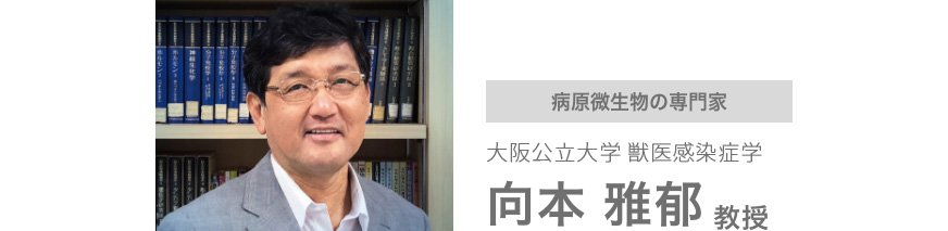病原微生物の専門家　大阪公立大学　獣医感染症学　向本雅郁教授の写真です。