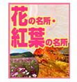 花の名所・紅葉の名所11～12