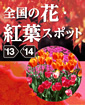 全国の花・紅葉スポット '13-'14