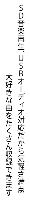 SD音楽再生、USBオーディオ対応だから気軽さ満点大好きな曲をたくさん収録できます