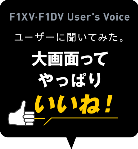 F1XV-F1DV Users Voiceユーザーに聞いてみた。 大画面ってやっぱりいいね！