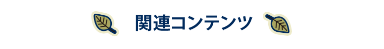 関連コンテンツ