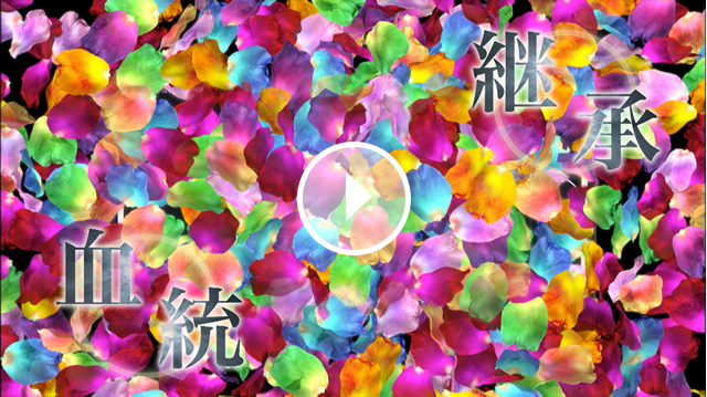 動画：美優Navi 高画質篇【全編】