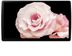 CN-F1X10BG