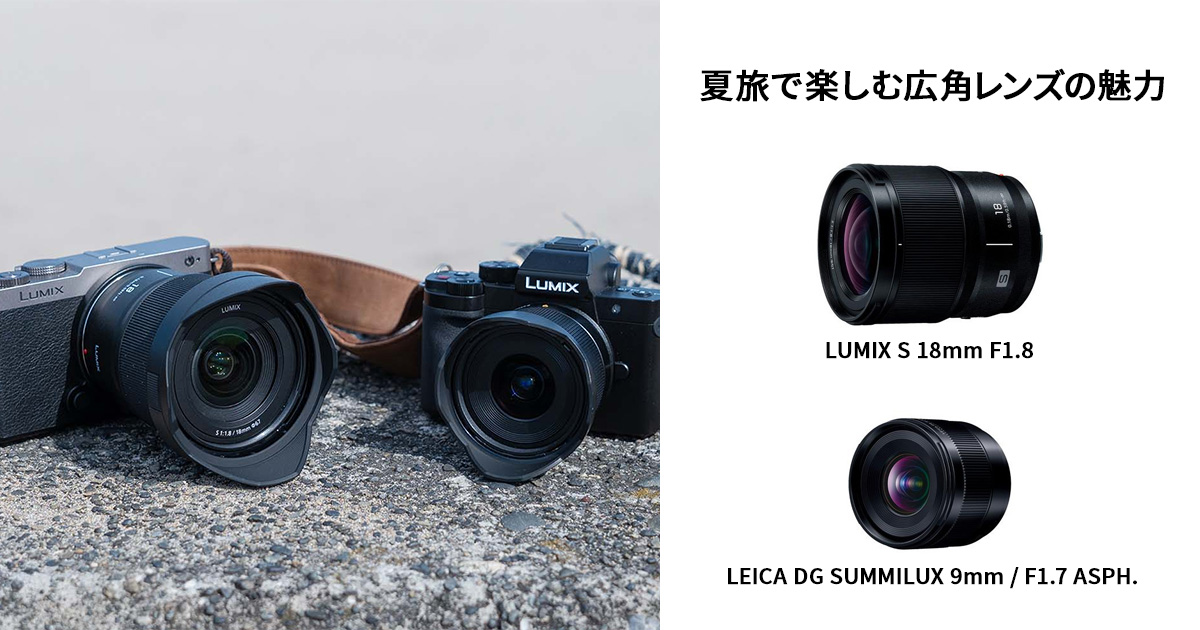LUMIX パナソニック　広角レンズ付き　色補正フィルター付き パナソニック LUMIX DC-S9N-D 広角ズームレンズキット [キャメル