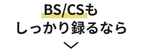 BS/CSもしっかり録るなら