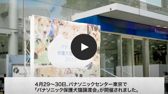 パナソニック保護犬猫譲渡会2023【パナソニック公式】