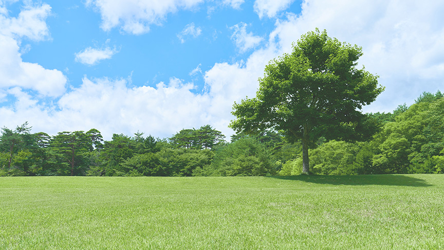 明るさ 液晶