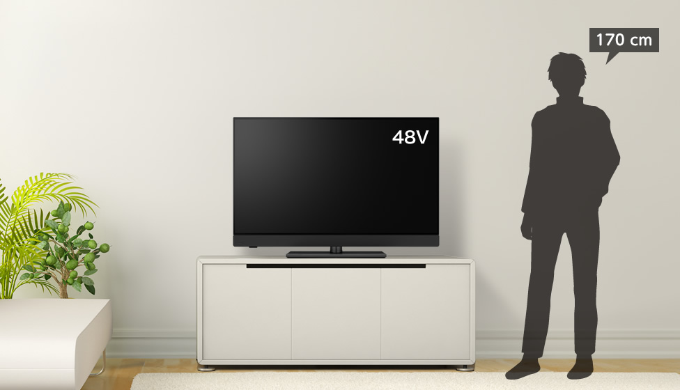 6畳＆48～50v型＆ローボード