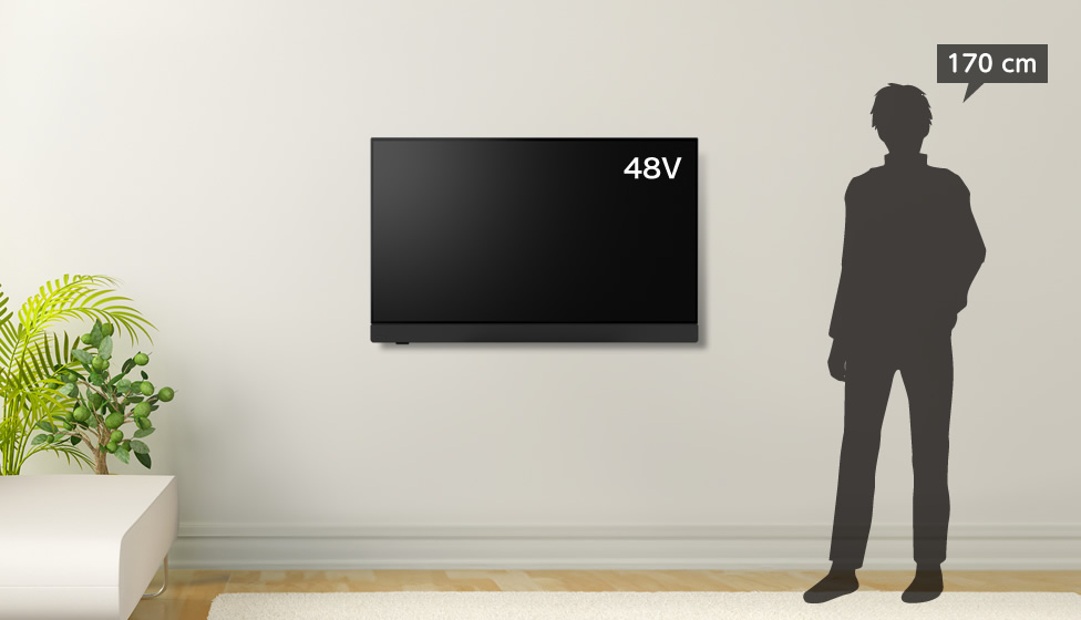 6畳＆48～50v型＆壁掛け