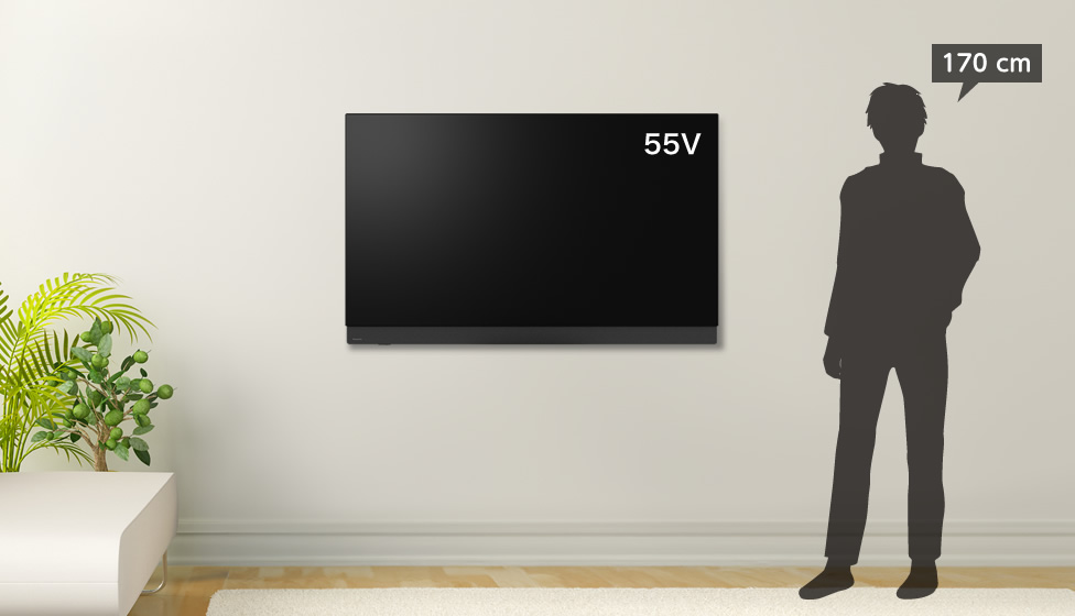 6畳＆55v型＆壁掛け