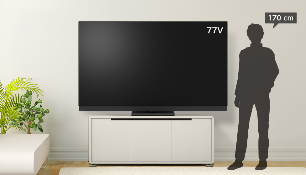 6畳＆75v型以上＆ローボード