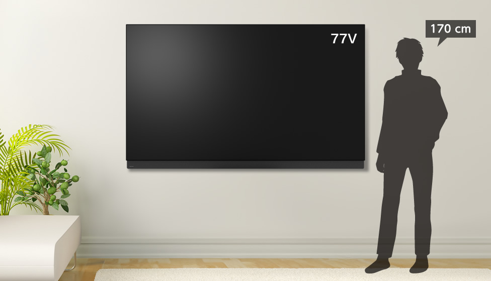 6畳＆75v型以上＆壁掛け