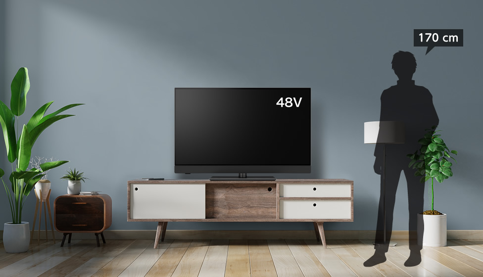 8畳＆48～50v型＆ローボード