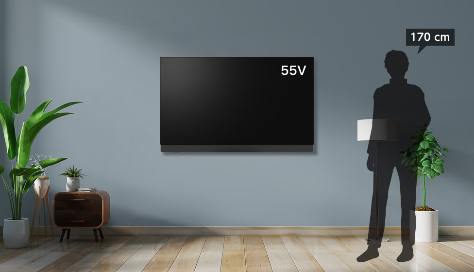 8畳＆55v型＆壁掛け