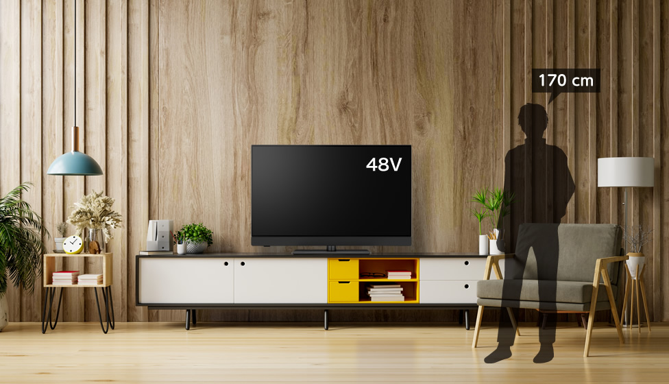 10畳＆48～50v型＆ローボード