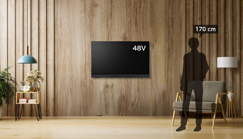 10畳＆48～50v型＆壁掛け