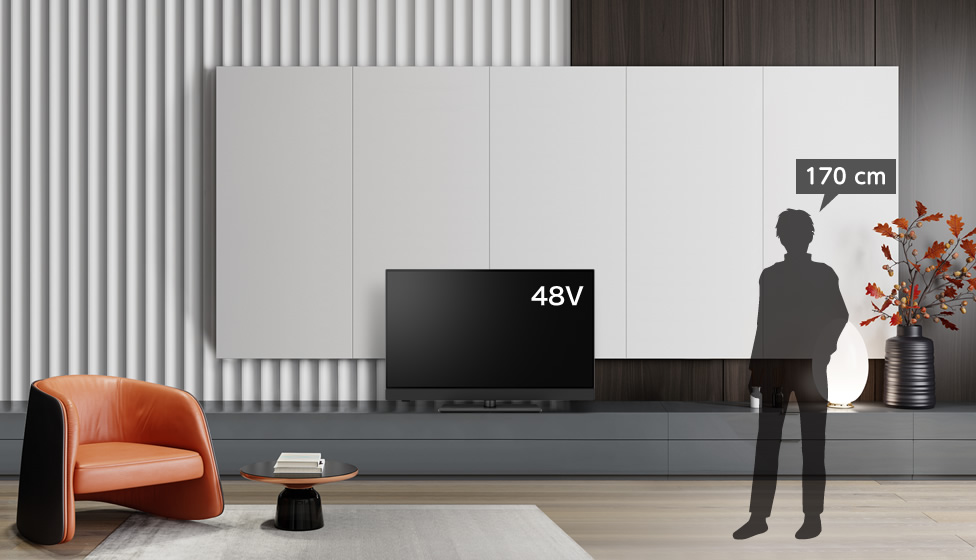 16畳＆48～50v型＆ローボード