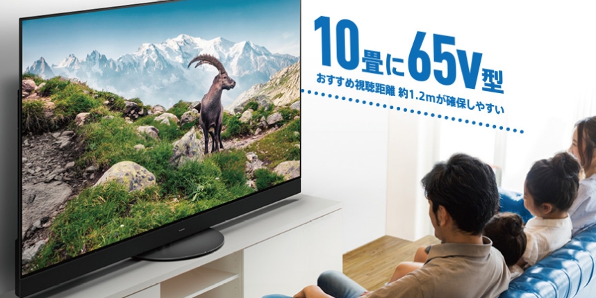Panasonic 【大幅に値下げ！】プラズマテレビTV55型巨大たたみサイズ