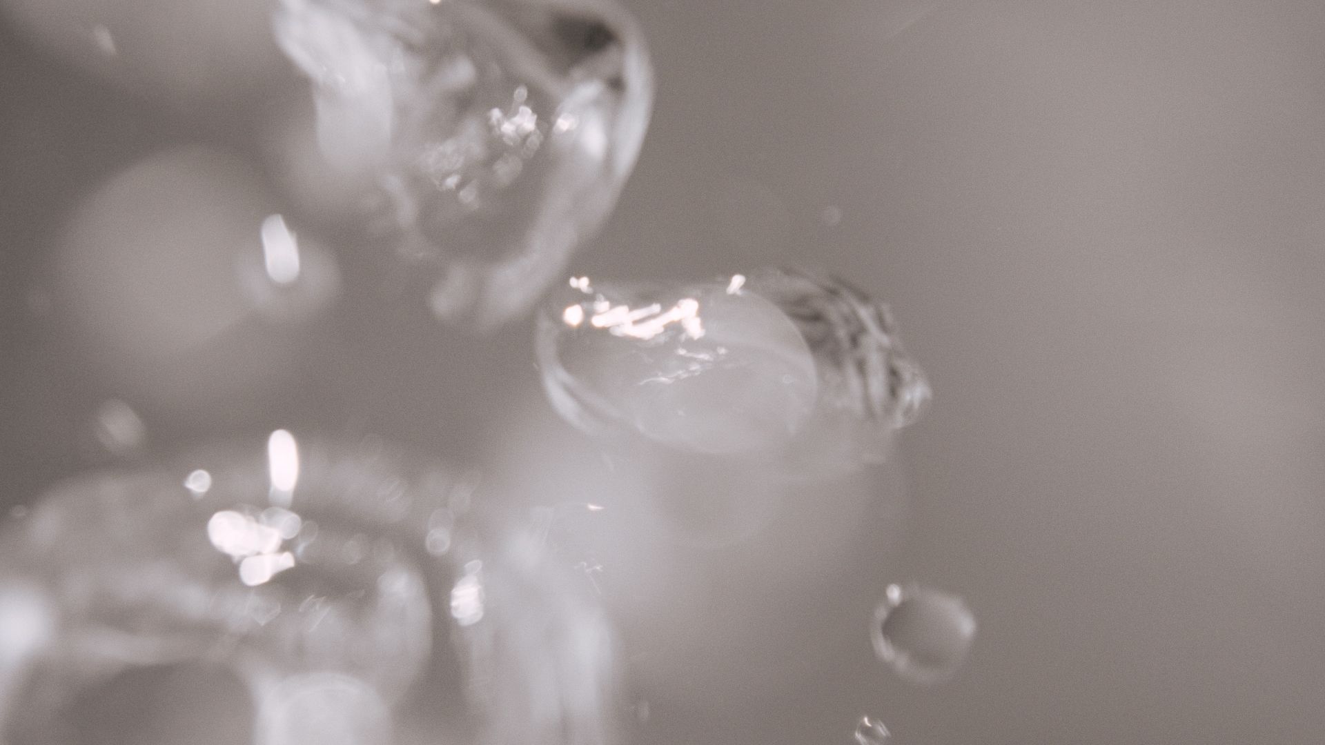  altテキストが入ります