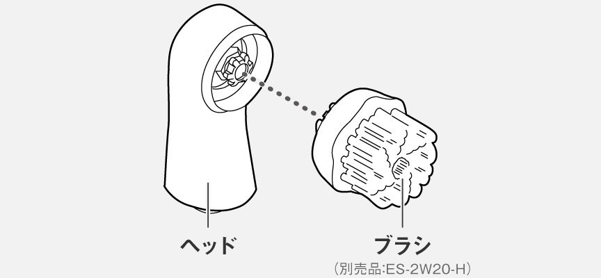 イラスト：ヘッド,ブラシ