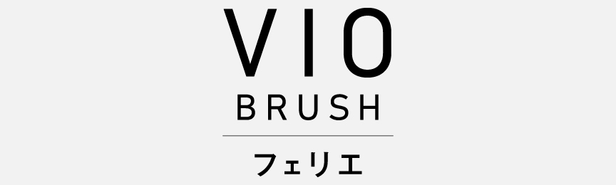 ロゴ：VIO BRUSH フェリエ