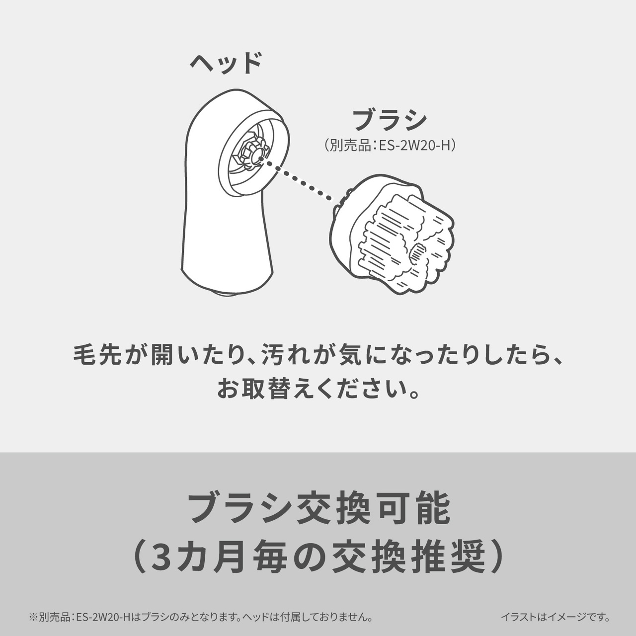 【イラスト】ヘッド・ブラシ(別売品:ES-2W20-H) 毛先が開いたり、汚れが気になったりしたら、お取替えください。 ブラシ交換可能(3カ月毎の交換推奨)※別売品:ES-2W20-Hはブラシのみとなります。ヘッドは付属しておりません。イラストはイメージです。