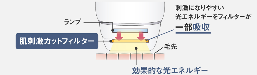 イラスト：肌刺激カットフィルターが刺激になりやすい光エネルギーを一部吸収。効果的な光エネルギーを肌に照射。
