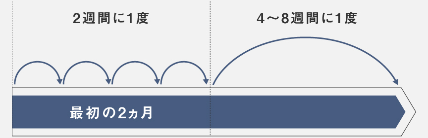 お手入れ頻度の図説：最初の2ヵ月は2週間に1度、3ヵ月以降は4～8週間に1度