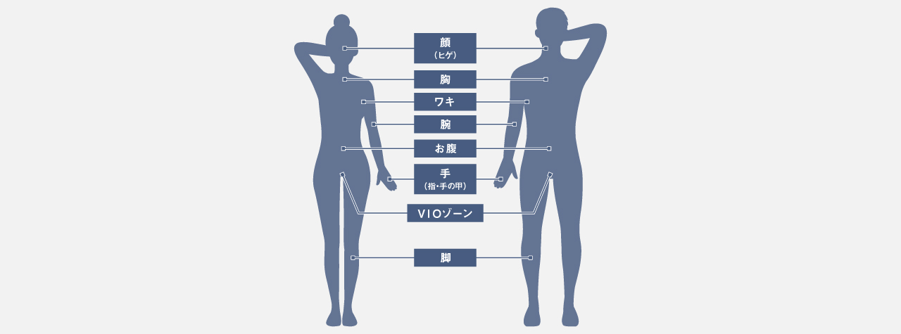 使用できる部位一覧：顔（ヒゲ）,胸,ワキ,腕,お腹,手（指・手の甲）,VIOゾーン,脚