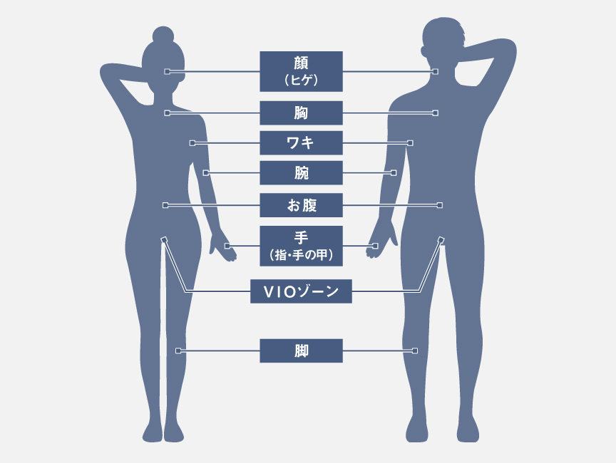 使用できる部位一覧：顔（ヒゲ）,胸,ワキ,腕,お腹,手（指・手の甲）,VIOゾーン,脚