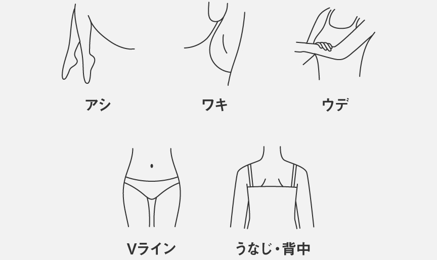 イラスト：アシ/ワキ/ウデ/Vライン/うなじ・背中