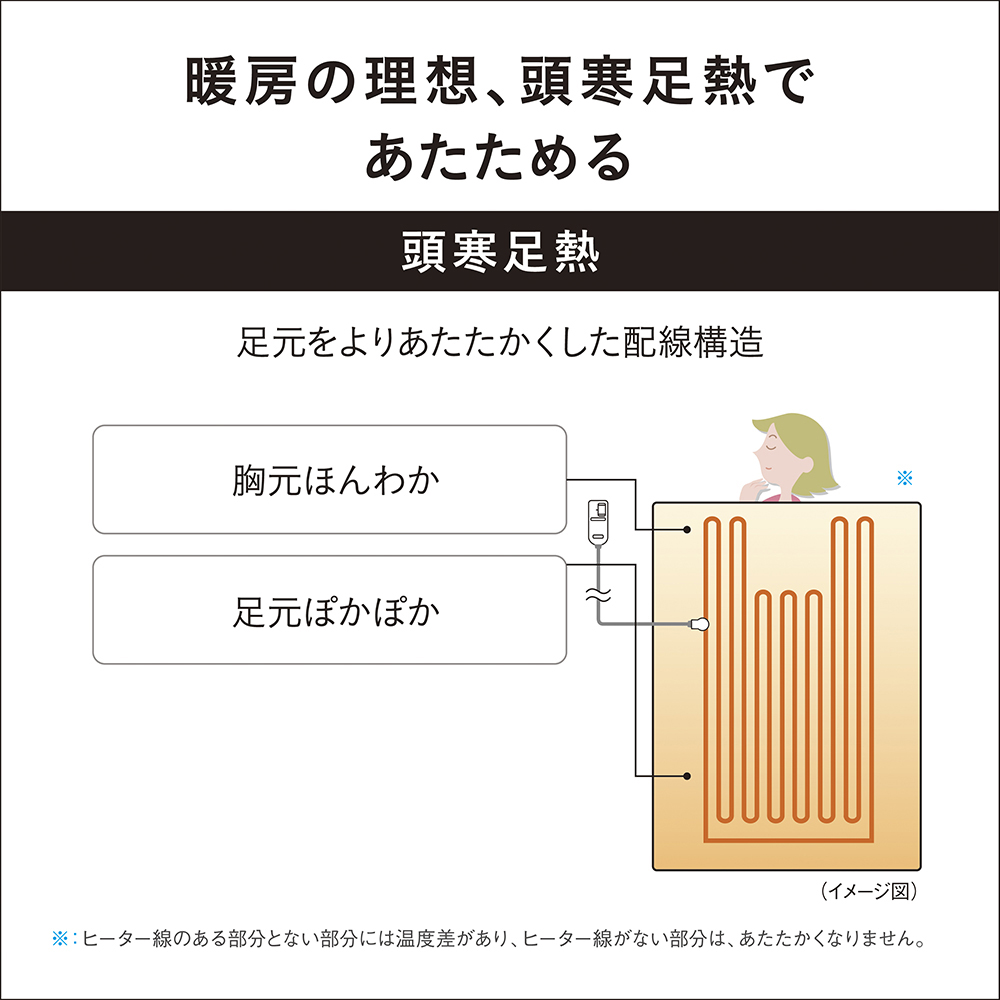 DB-R31M 購入 - 電気かけしき毛布(シングルMサイズ) | 電気カーペット