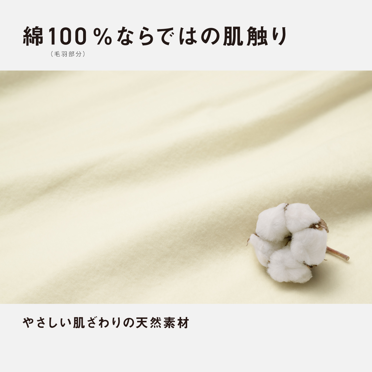 綿100%ならではの肌触り （毛羽部分） やさしい肌ざわりの天然素材