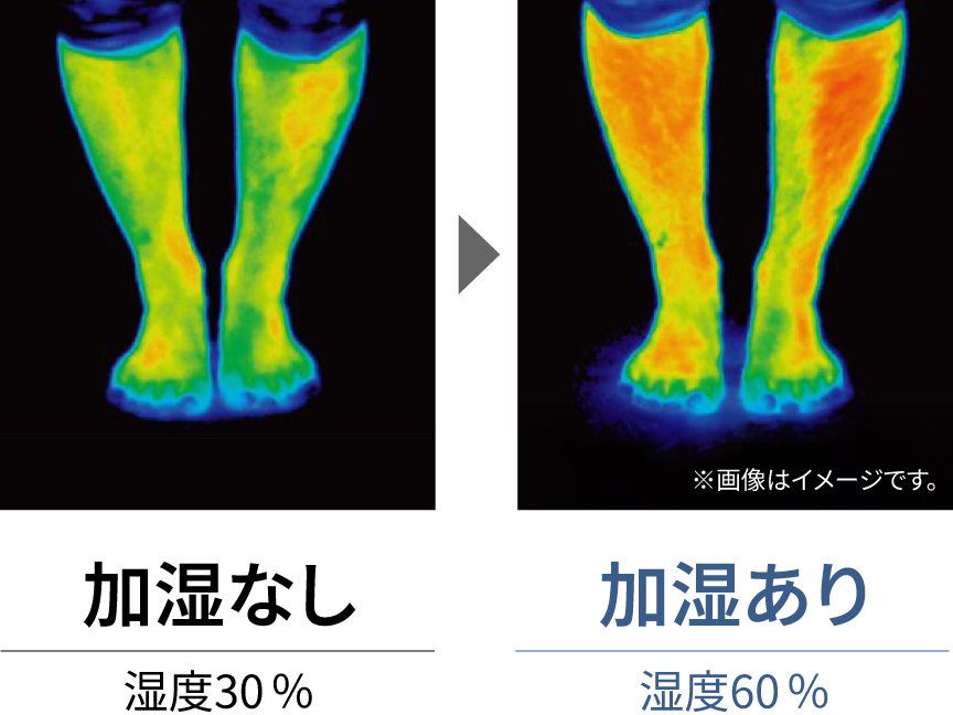 加湿なし（湿度30％） 加湿あり（湿度60％） ※画像はイメージです。