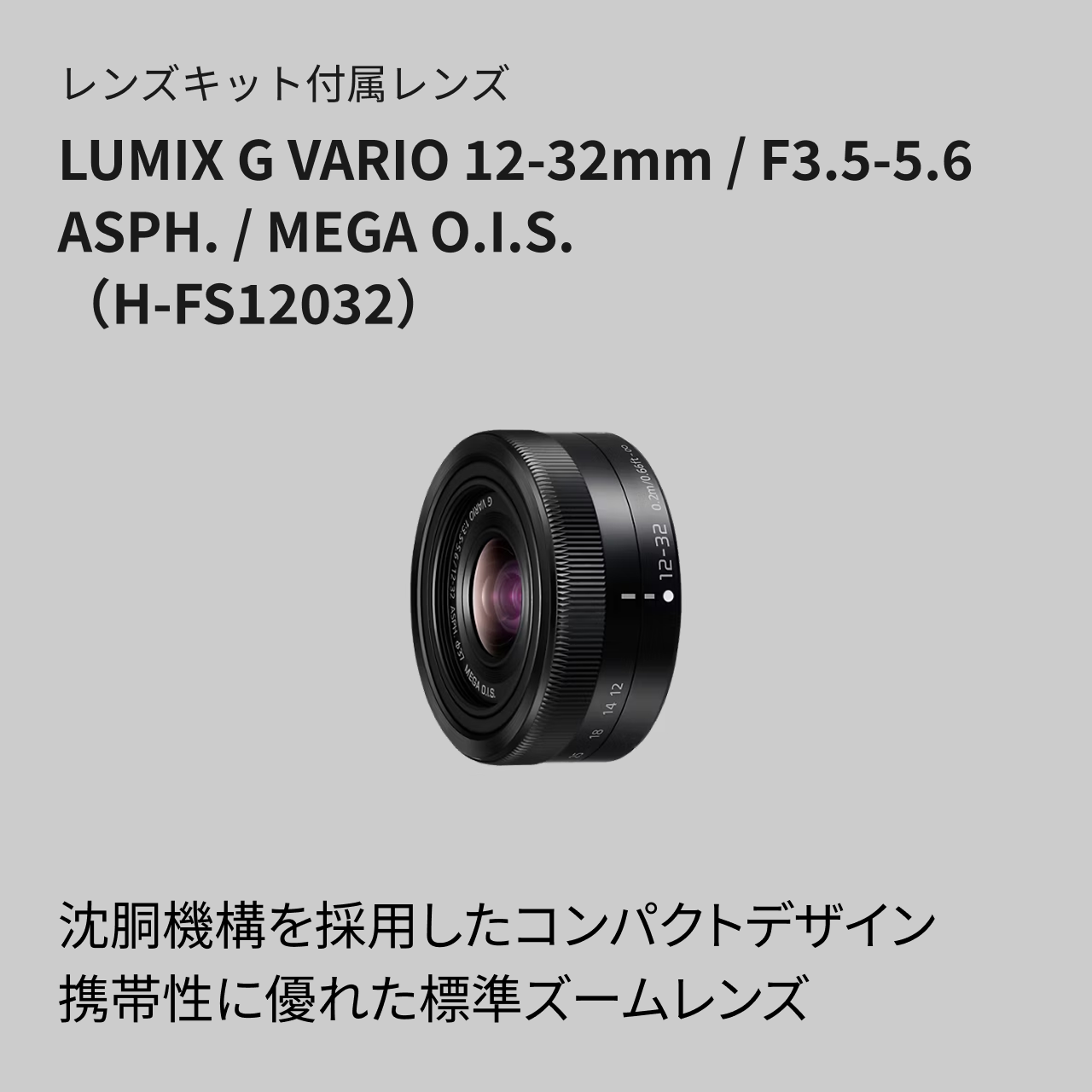 購入 デジタル一眼カメラ/レンズキット DC-G100DW | LUMIX（ルミックス