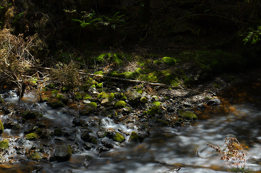 ダウンロード用画像03