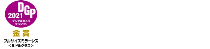 VGP/DGP受賞ロゴ