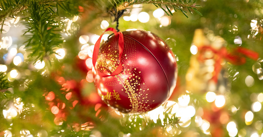 空気が澄んでくる冬こそ夜の「写活」にチャレンジ