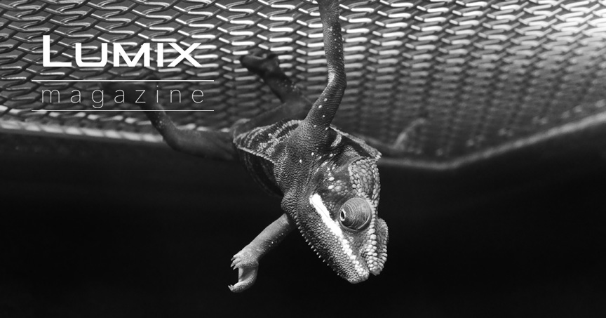 【公式】これを読めば解決！LUMIX TX3 使いこなしガイド