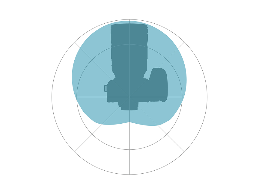 前方単一指向性